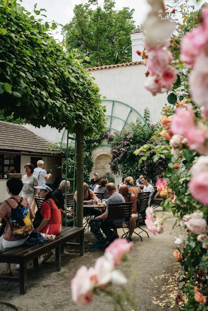 Imagen representativa de República Checa
